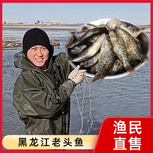 黑龙江江鱼河鲜淡水鱼大老头鱼