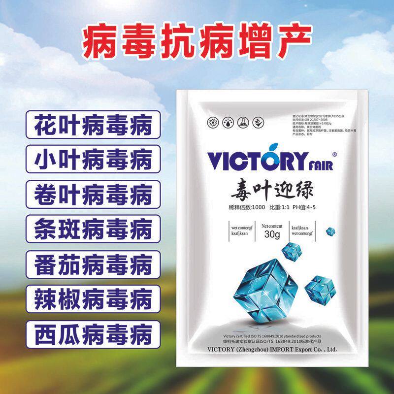 毒叶迎绿病毒病套装专用西红柿辣叶面肥