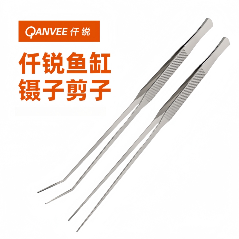 水草种值景观维护鱼缸清理