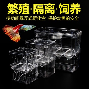 孔雀鱼繁殖盒鱼缸隔离孵化盒热带鱼小鱼特大小号隔离箱孵化产卵房