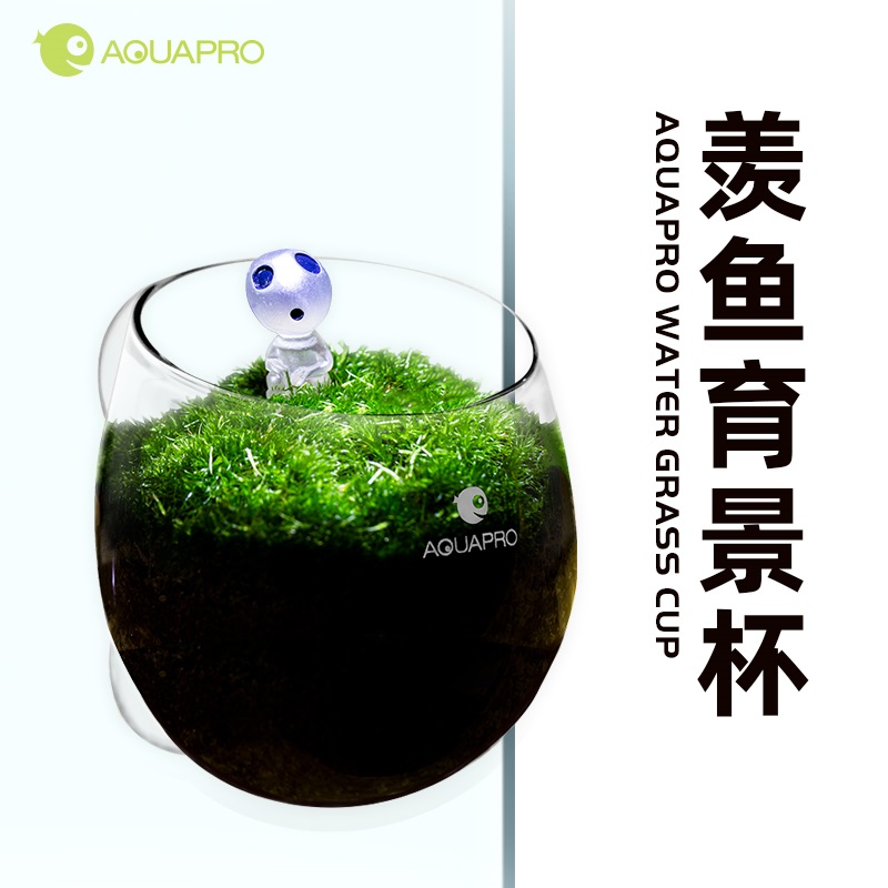 羡鱼AQUAPRO 育景杯缸内水晶玻璃水族箱创意种植盆景观杯水草种子 宠物/宠物食品及用品 其它水族用具设备 原图主图