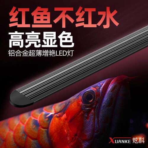 炫科鱼缸灯增艳红龙鱼灯led灯