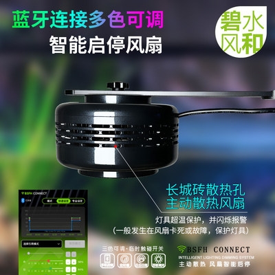 碧水风和国潮溪流灯水草金鱼暴藻