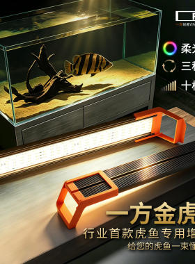 一方金虎灯虎鱼灯靶向光谱增色灯
