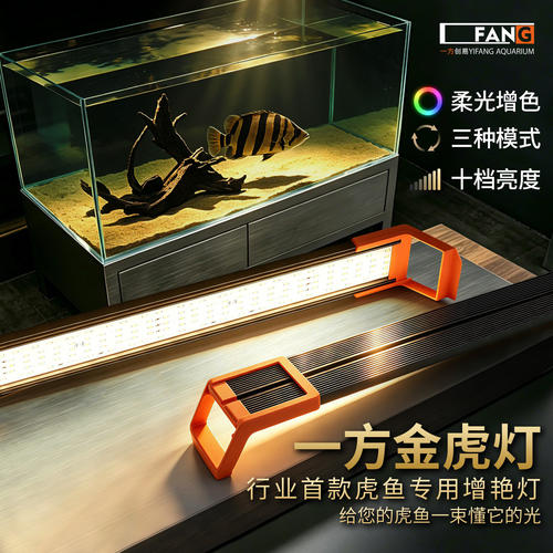 一方金虎灯虎鱼灯靶向光谱增色灯