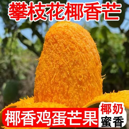 攀枝花椰香芒果5/8斤