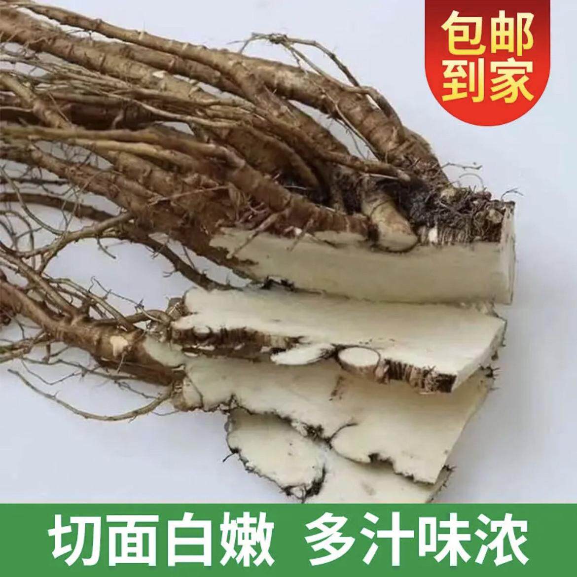 云南新鲜甜当归西归芹根整根散装独角归5斤包邮新鲜现挖煲汤药材