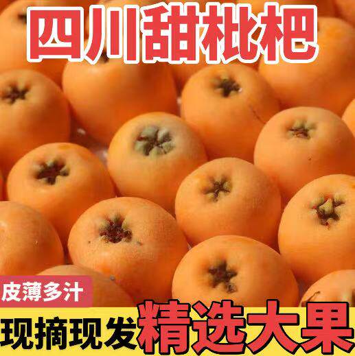 5斤枇杷新鲜多汁四川石棉琵琶大五星现摘现发当季新鲜孕妇水果3斤