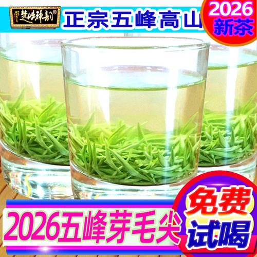 湖北头采五峰芽毛尖嫩芽栗香绿茶