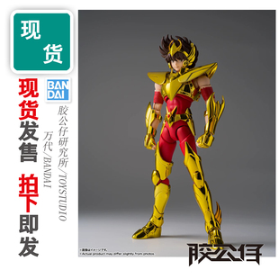 现货 万代 TNT 魂会场限定 圣衣神话EX 黄金圣斗士 天马座 星矢