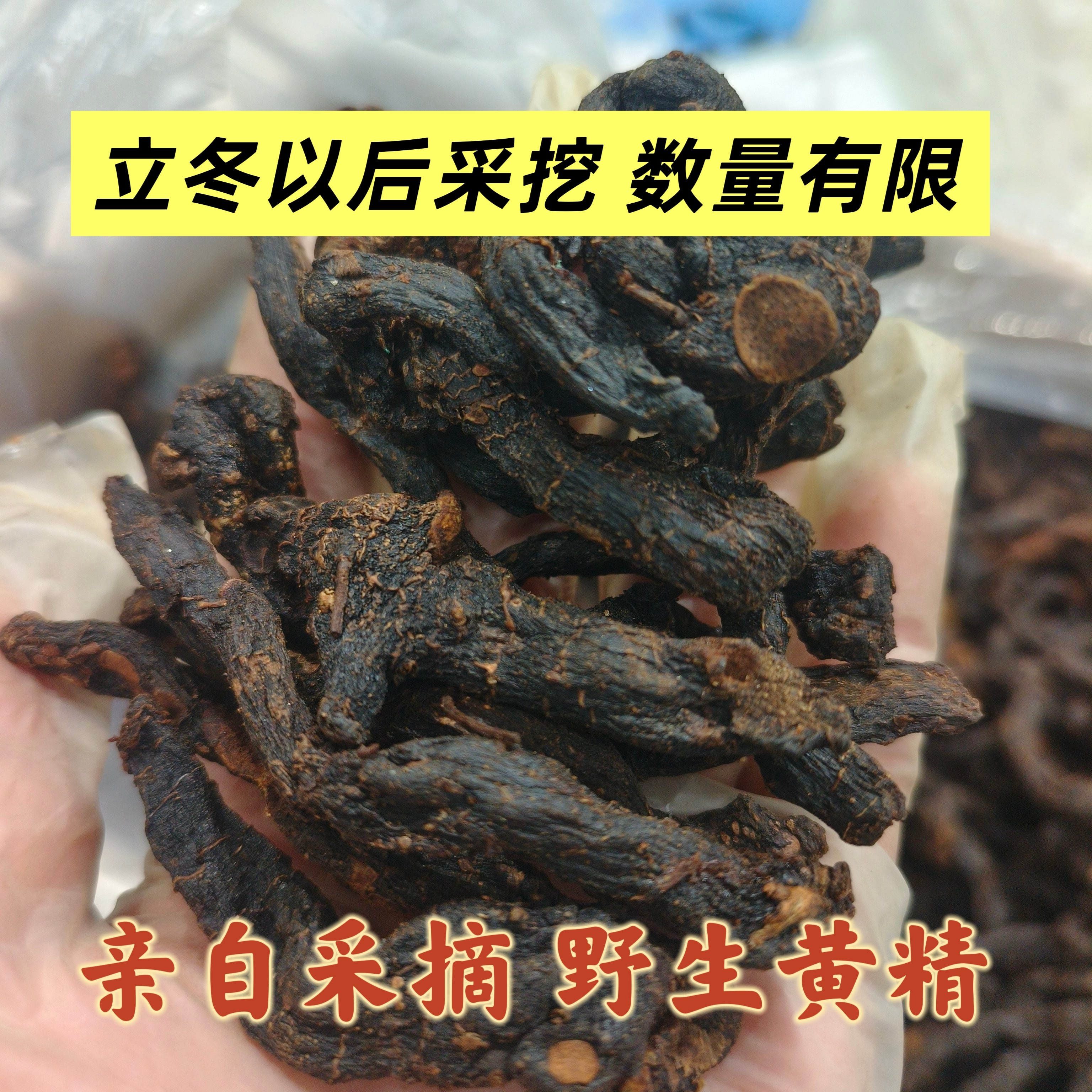太行山特产立冬深山采挖无添加剂正宗特级野生黄精九蒸九晒黄精茶