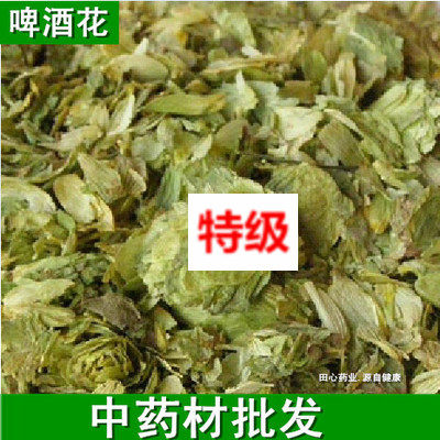 啤酒花干品野酒花面包酵
