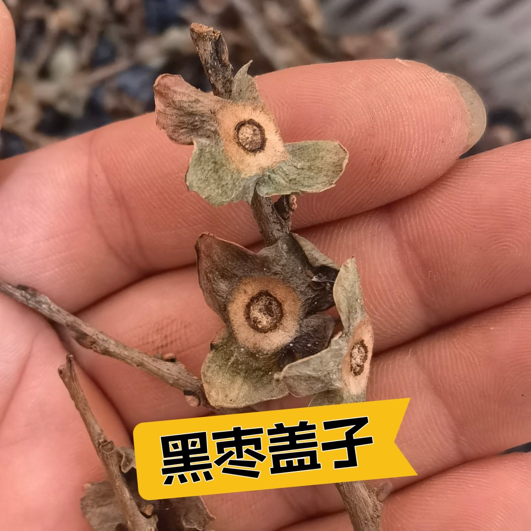 野生黑枣盖子蒂 君迁子有核黑枣干货野柿子小黑枣药用中药材500g