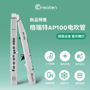 中老年演奏级国产乐器精致迷你便携 Greaten格瑞特AP100电吹管新款