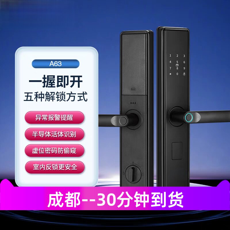 成都帝尼特3D人脸识别可视抓拍智能锁家用指纹锁远程密码锁电子锁