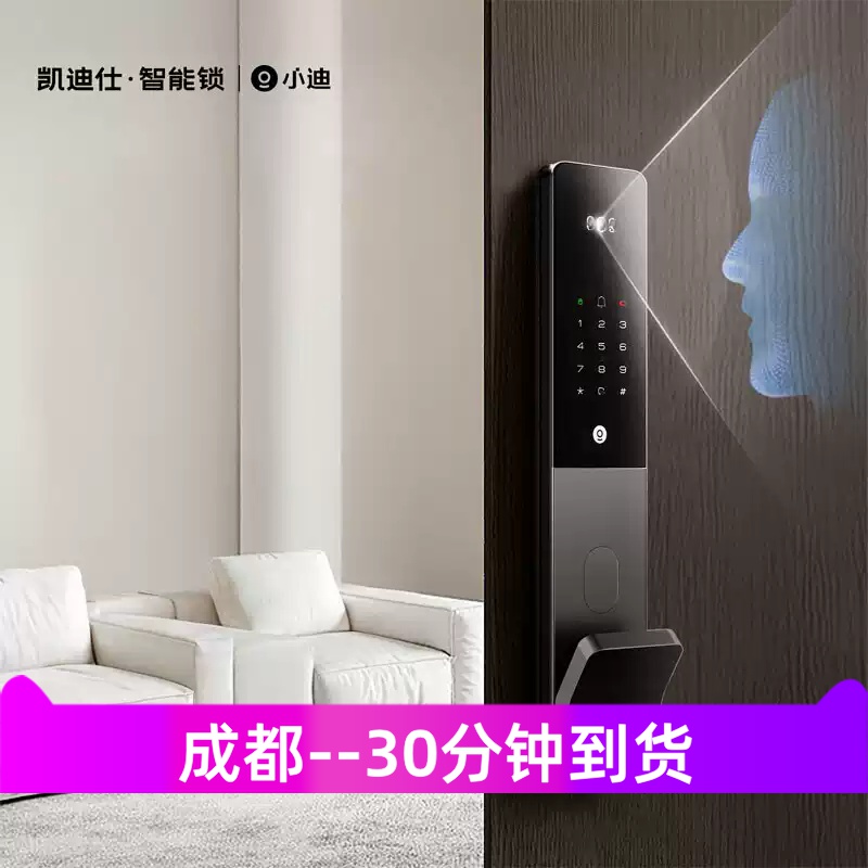 凯迪仕智能锁当天安装