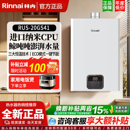 Rinnai/林内 RUS-16GD31
