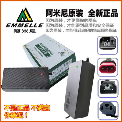 阿米尼电动车原装智能川奇充电器