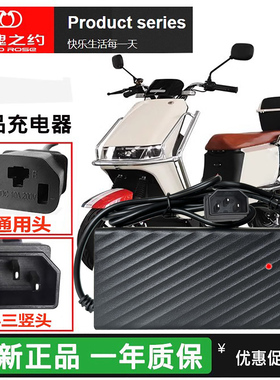 玫瑰之约电动车铅酸充电器48V12Ah4812D48V20Ah4820D原车正品专用