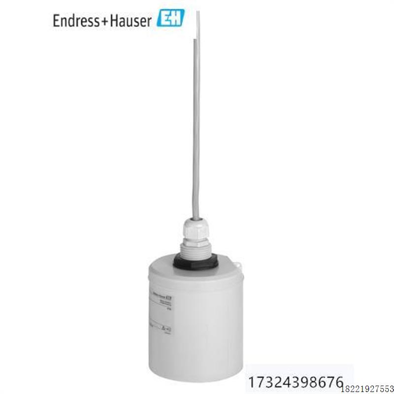 议价E+H分体式声波液位计FDU91-RG1AA 咨