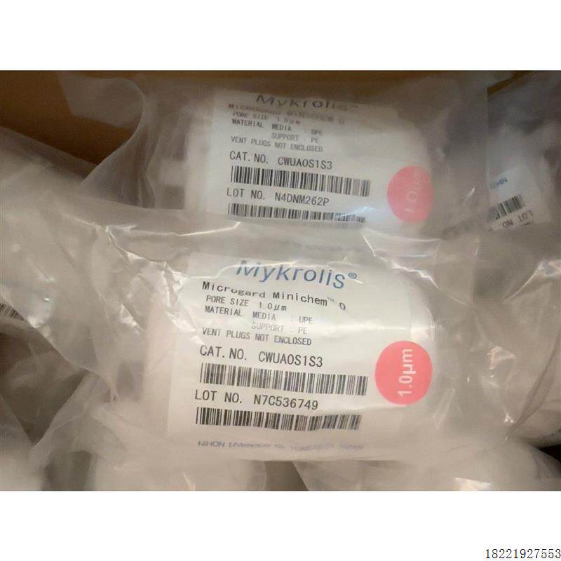 议价全新原装正品Mykrolis过滤器CWUA0S1S3