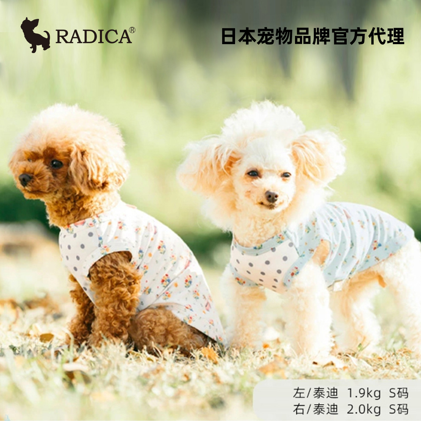日本Radica夏装冷感防蚊宠物服装狗狗衣服凉凉衣小型犬猫抗菌防臭