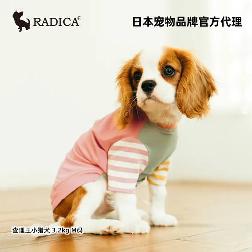 radica狗狗衣服宠物防蚊打底衫