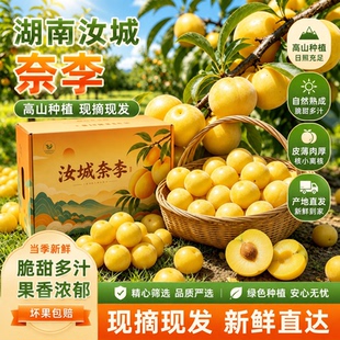 【汝城特产馆】汝城奈李黄李子新鲜脆李当季生鲜水果现摘产地直发