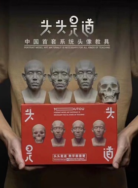 头头是道头像教具雕塑写生教具