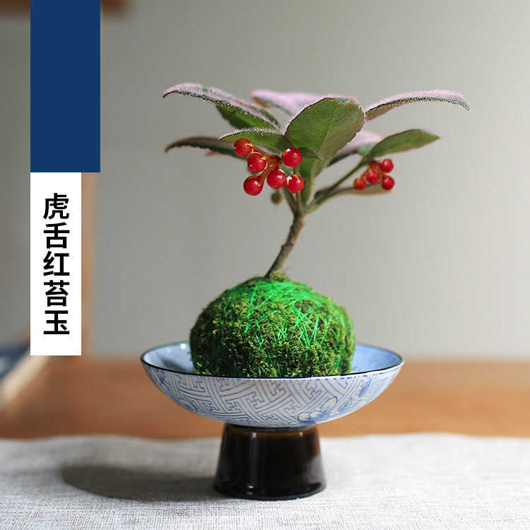 大号摆件手绘日式干果陶瓷家用