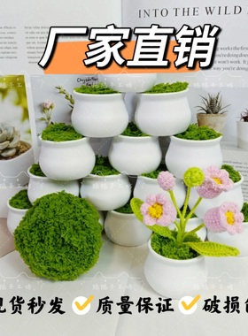 毛线钩织小盆栽白色塑料花盆仿迷你摆件新款防摔专用泡沫编织草坪