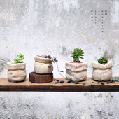 多肉水泥花盆复古花盆个性 创意粗陶吸水透气mini麻布袋花盆 日式