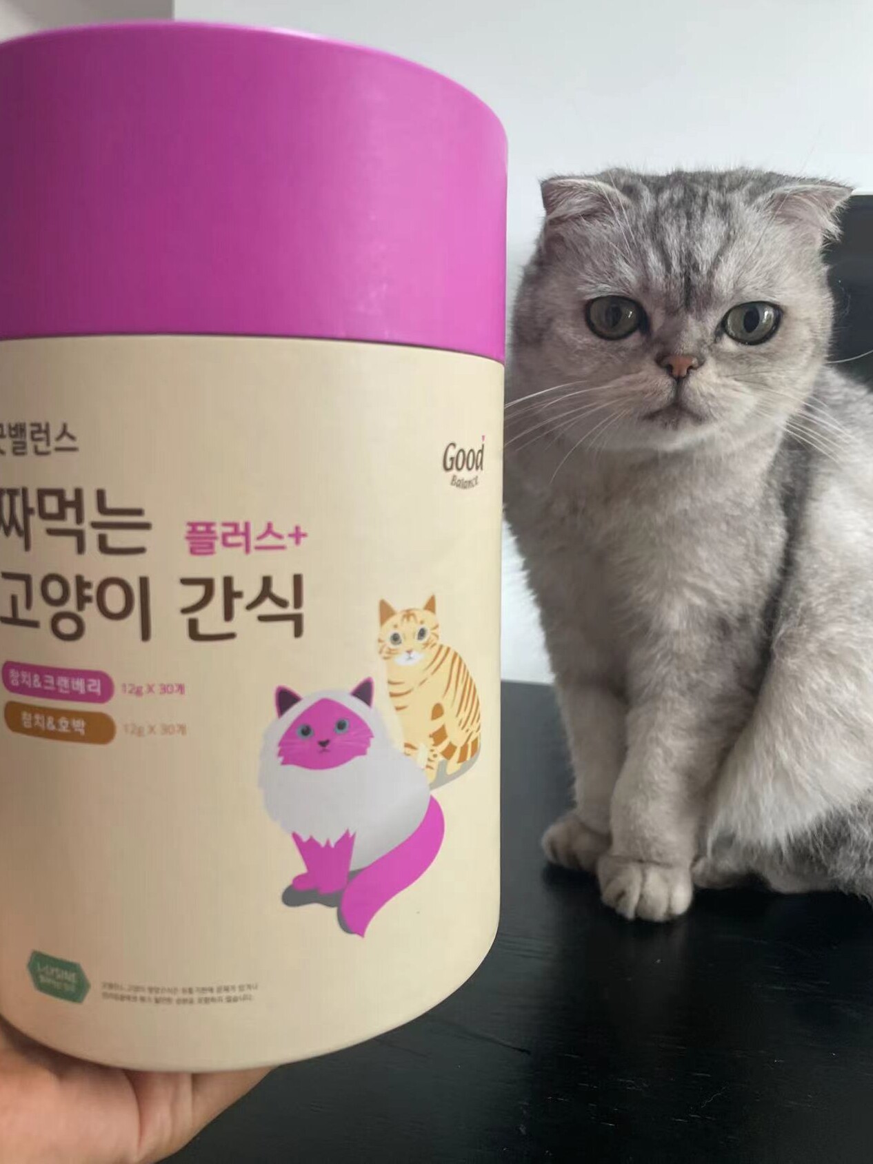 韩国品牌营养猫条猫粮湿粮