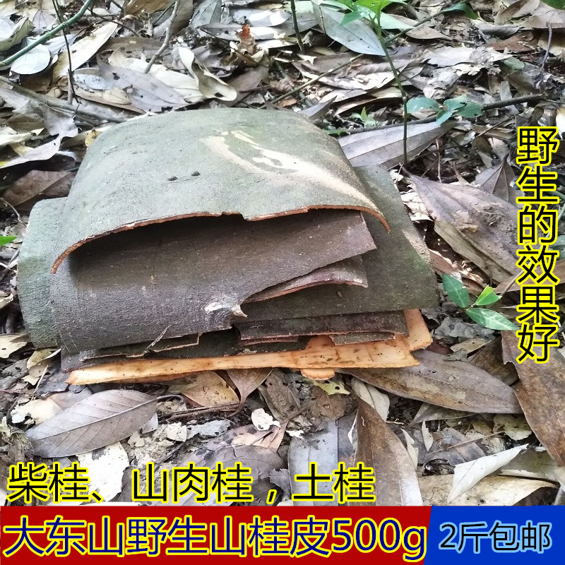 新货桂皮干品香料中草药500g包邮