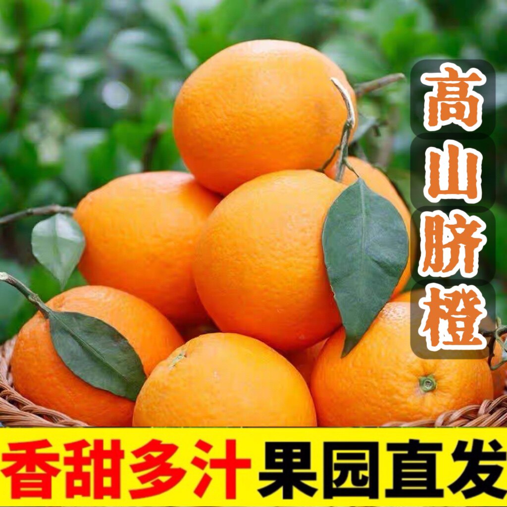 正宗湖南麻阳纽荷尔脐橙当季新鲜现摘橙子当季水果鲜甜多汁10整箱