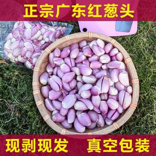 广东去皮红葱头新鲜剥皮葱头餐饮店用香料干葱头小香葱火葱小洋葱