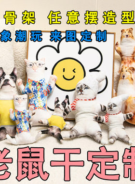 定制抽象玩偶抱枕铁丝骨架人像宠物恶搞动漫猫狗老鼠干趣味搞怪