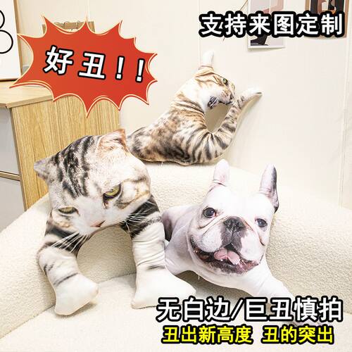 抱枕diy定制玩偶照片定做异形