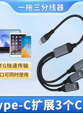 Type-C一分二C口双母座HUB转换器