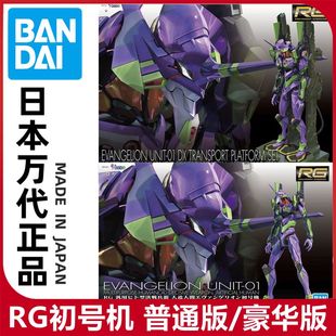 万代模型 RG 新世纪福音战士 EVA 初号机 普通版 带输送台豪华版
