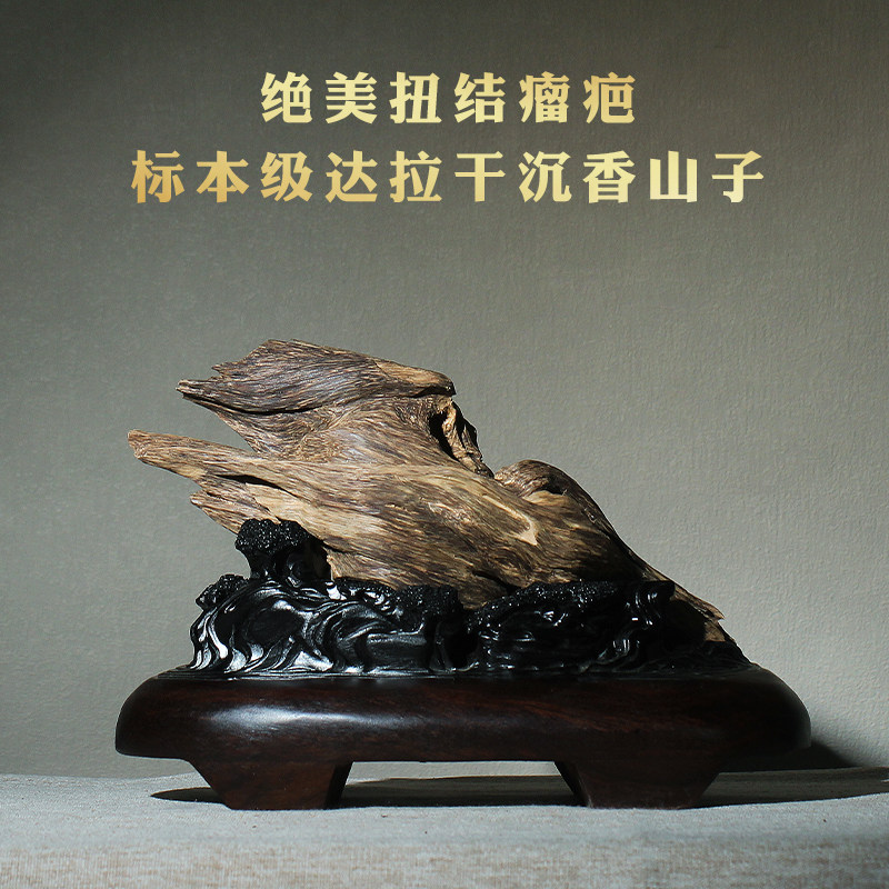 珍藏孤品罕见扭结瘤疤老料标本级达拉干沉香山子文玩摆件星洲系