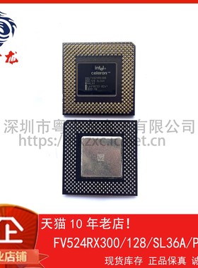 FV524RX300/128/SL36A 粤中龙 全新原装可直拍  一站式配单！