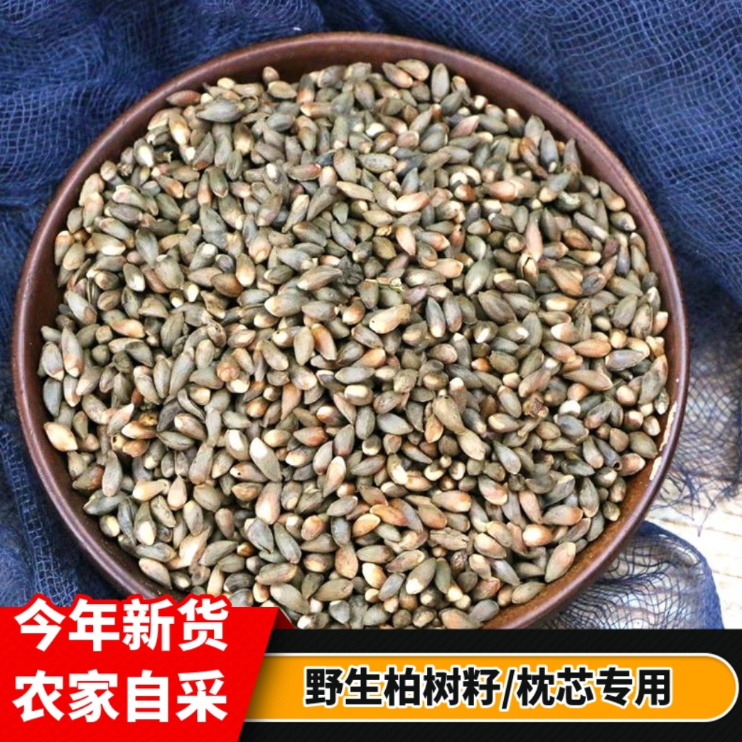 正宗野生侧柏籽500g包邮柏树籽侧柏果实乌发助眠枕芯填充物侧柏籽