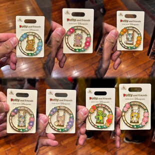 pin 碎花图案交换胸针 香港迪士尼 达菲与好友动漫限量收藏徽章