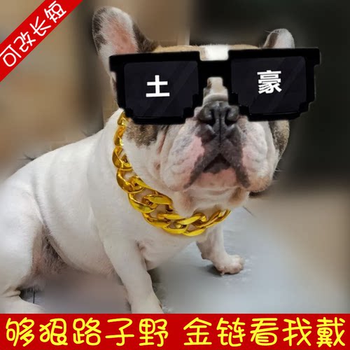猫狗法斗项圈项链宠物大金链子