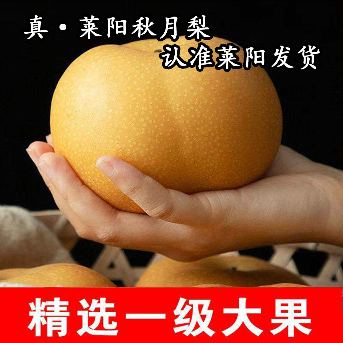 【顺丰包邮】正宗山东莱阳秋月梨梨