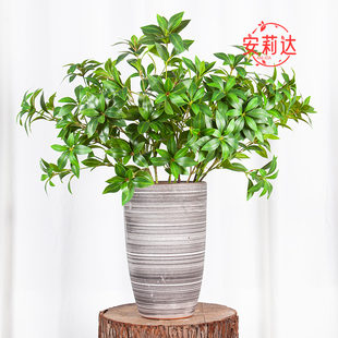 仿真叶子马醉木米兰叶假树枝家居仿真花假花客厅摆件装饰