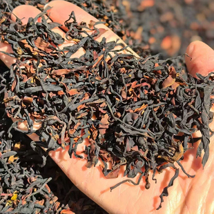 2025年野生古树晒红 大雪山滇红普洱红茶 古树滇红茶 早春功夫茶