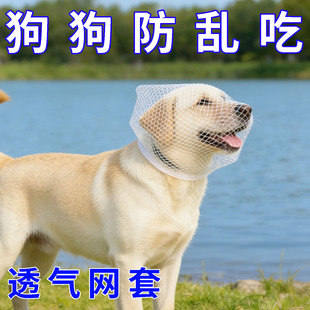 狗狗防乱吃头套防误食嘴套透气户外防偷吃头纱猫咪面罩宠物口罩