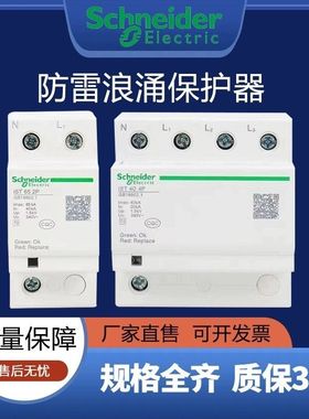 施耐德浪涌防雷保护器IST4P40KA65KA100KAT2级电涌保护家用2p20KA